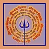 Om Namah Shivaya