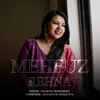 About Mehfuz Rehna Song