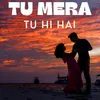 About Tu Hi Hai Tu Mera Song