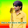 About Tharo Vet Karu Chu Deli Song