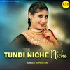 About Tundi Niche Niche Song
