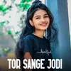 About TOR SANGE JODI Song