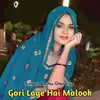 About Gori Lage Hai Malook Song