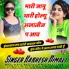 About Mari Janu Thari Holu Akhtij P Song
