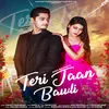 About Teri Jaan Bawli Song