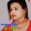 Aslam Singer SR 3950