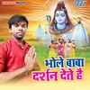 About Bhole Baba Darshan Dete Hai Song