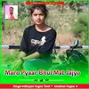 About Maro Pyaar Bhul Mat Jajyo Song