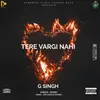 About Tere Vargi Nahi Song