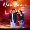 About Naa Jaane Song