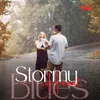 About Stormy Heart Blues Song