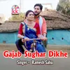 About Gajab Sughar Dikhe Song