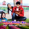 About Mola Bhula Ke Song