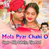 About Mola Pyar Chahi O Song