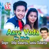 About Aare Vada He Mola Song