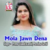 Mola Javan Dena