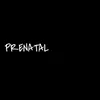 About PRENATAL Song