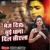 About Bhej Diha Sui Dhaga Dil Siyela Song