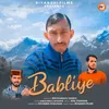 About Babliye Song