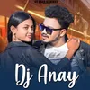 About Dj Anay Song