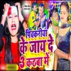 About Pichkari Ke Jayede 3 Kathba Me Song