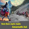 About Bum Bum Japte Japte Amrnath Aai Song