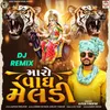 About Maro Vagh Meldi (DJ Remix) Song