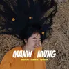 About Manw Nwng Song