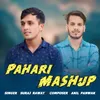 About Pahari Mashup Song