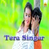 About Tera Singar Song