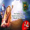 About Tu Sone Ka Sanwariya Main Meeti Ki Meera Song