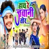 About Hai Re Jawani Tor Song