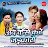 About Ab Kaise Kate Jadkaro Bundeli Lokgeet Song