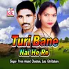 About Turi Bane Nai He Re Song