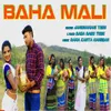 About Baha Mali Song