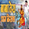 About Baba Tera Dhaam Nirala Song