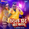 About Dil Par Vaar Karelu Song