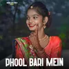 About Phool Bari Mein Song
