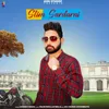 About Slim Sardarni Song