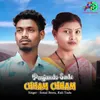 About Payjando Sade Chham Chham Song