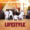 About Lifestyle Song