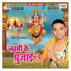 About Navmi Ke Pujai 3 Song