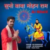 About Suno Baba Mohan Ram DJ Remix Song