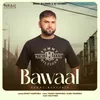 About Bawaal Song