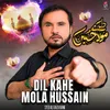 About Dil Kahe Mola Hussain Song