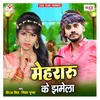 About Mehraru Ke Jhamela Song