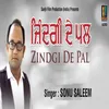 About Zindgi De Pal Song