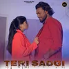 About Teri Sadgi Song