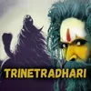 About TRINETRADHARI Song