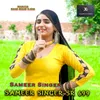 About SAMEER SINGER SR 699 Song